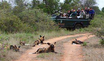 Motswari Private Game Reserve - Timbavati Klaserie Private Nature Reserve Εξωτερικό φωτογραφία