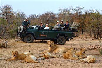Motswari Private Game Reserve - Timbavati Klaserie Private Nature Reserve Εξωτερικό φωτογραφία