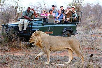Motswari Private Game Reserve - Timbavati Klaserie Private Nature Reserve Εξωτερικό φωτογραφία