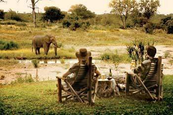 Motswari Private Game Reserve - Timbavati Klaserie Private Nature Reserve Εξωτερικό φωτογραφία