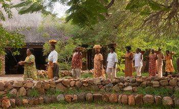 Motswari Private Game Reserve - Timbavati Klaserie Private Nature Reserve Εξωτερικό φωτογραφία